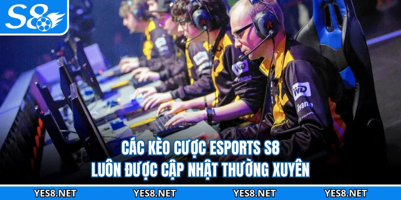 Các kèo cược Esports S8 luôn được cập nhật thường xuyên